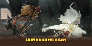 Luật đá gà miền Nam