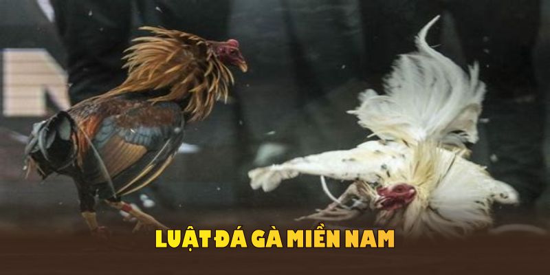 Luật đá gà miền Nam